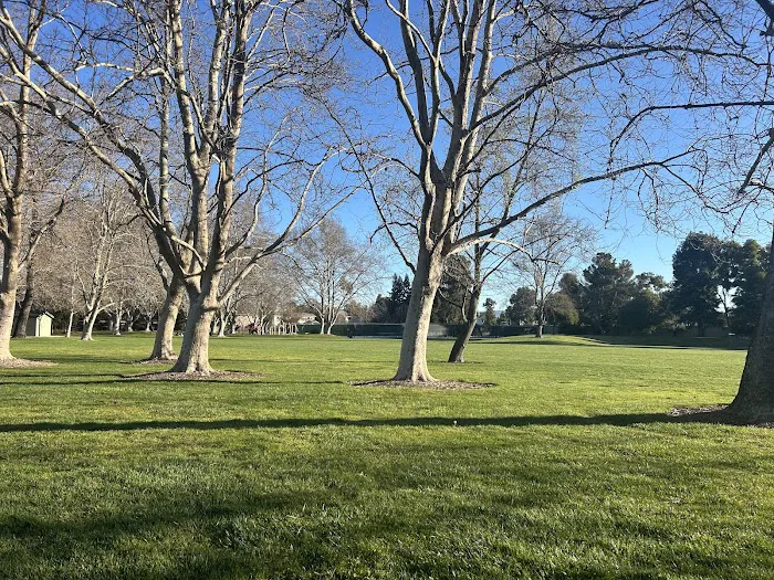 Dog Park for smaller dogs 1