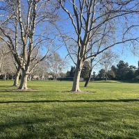 Dog Park for smaller dogs ico