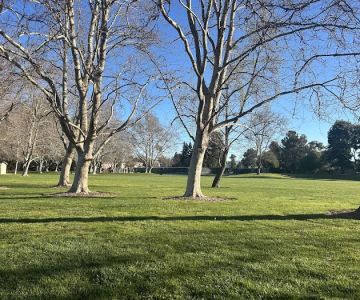 Dog Park for smaller dogs