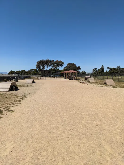 Marina Dog Park 4