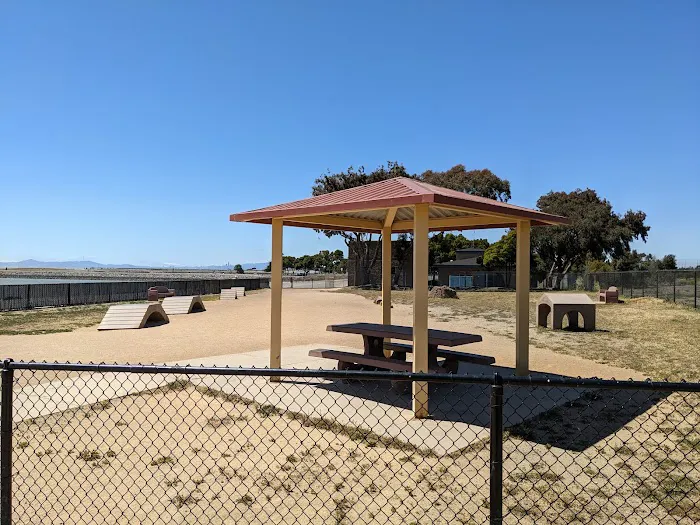 Marina Dog Park 5