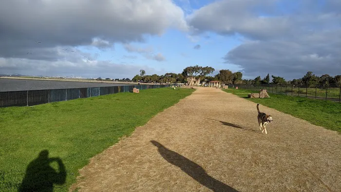Marina Dog Park 1