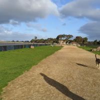 Marina Dog Park ico