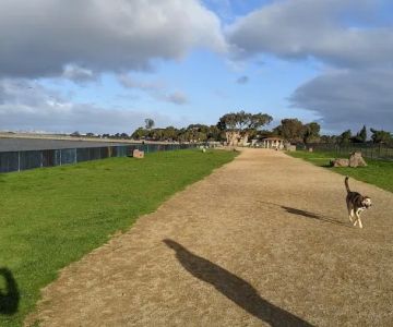 Marina Dog Park