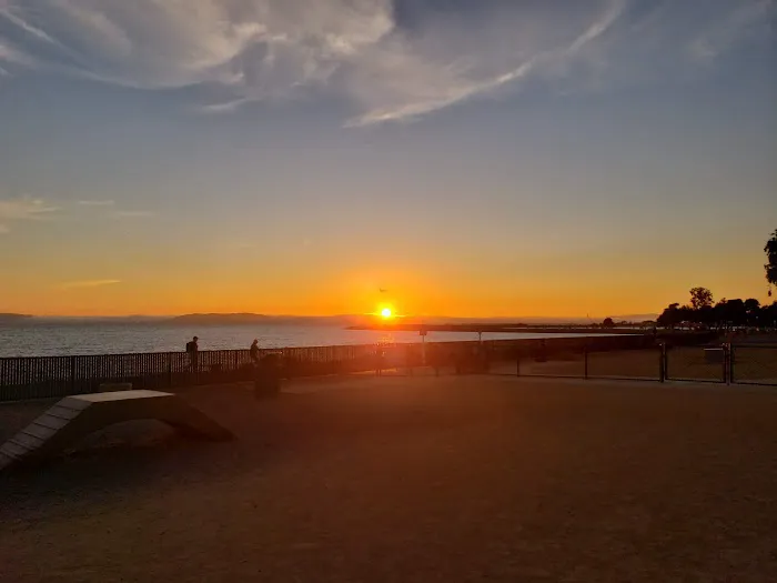 Marina Dog Park 2
