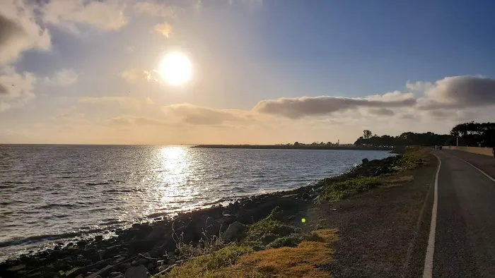 Marina Dog Park 6