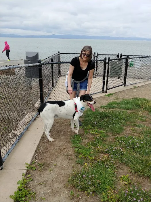 Marina Dog Park 3