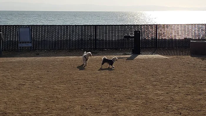 Marina Dog Park 10