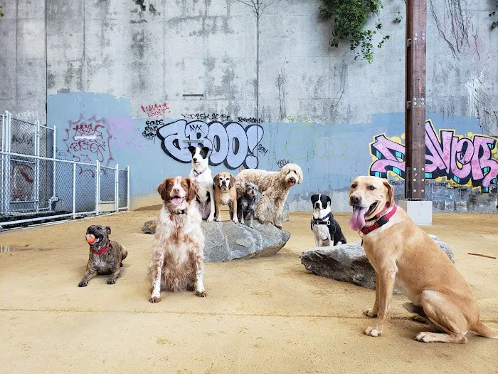 Avalon Dogpatch Dog Park 4