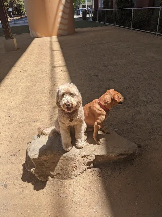 Avalon Dogpatch Dog Park 1