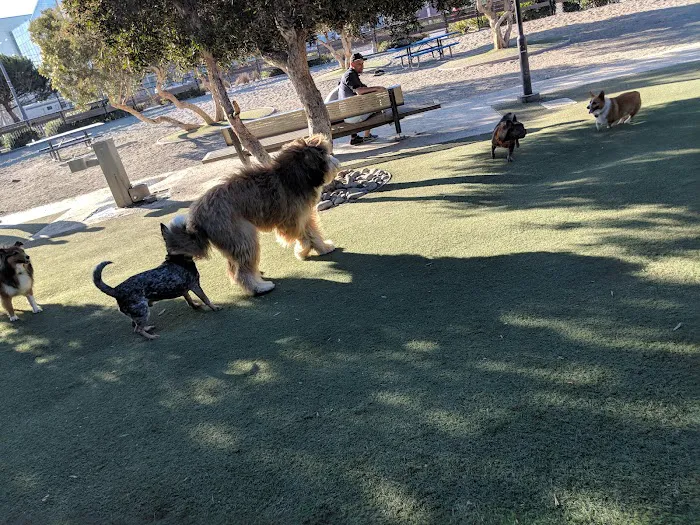 Berry Street Dog Park 10