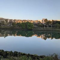Berry Street Dog Park ico