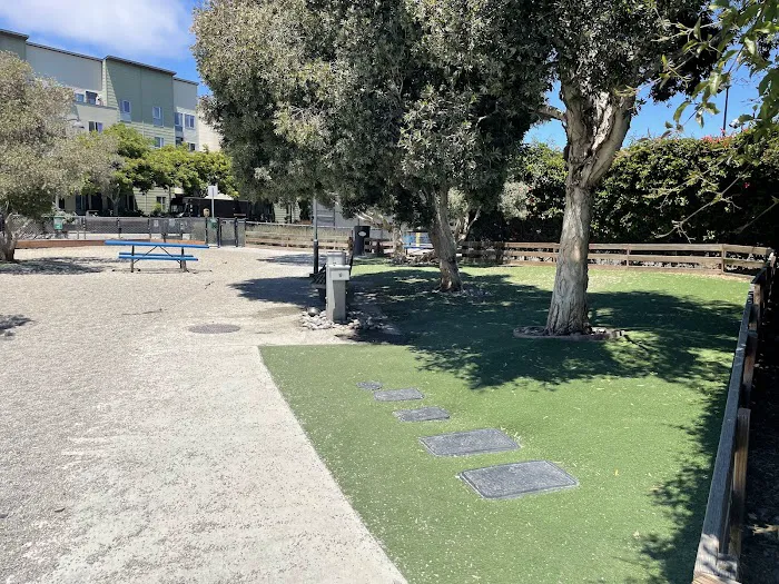 Berry Street Dog Park 3