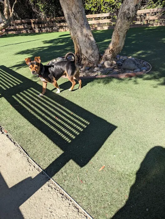 Mission Creek Dog Park 7