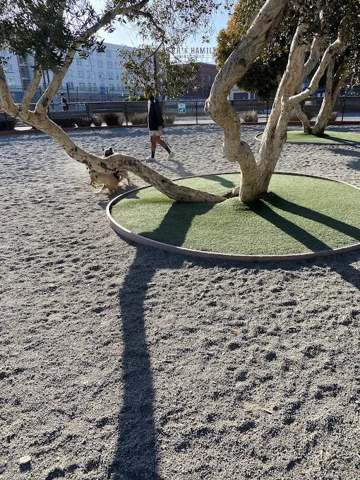 Mission Creek Dog Park 10