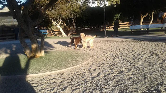 Mission Creek Dog Park 3
