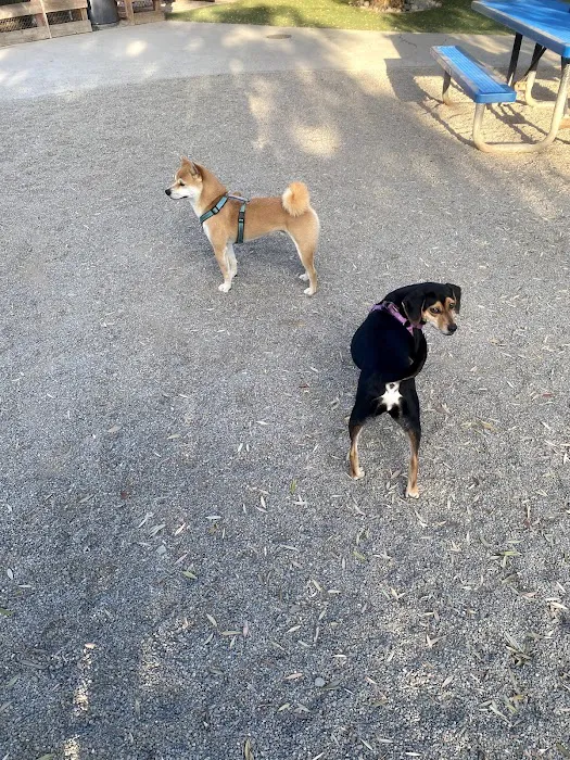 Mission Creek Dog Park 1