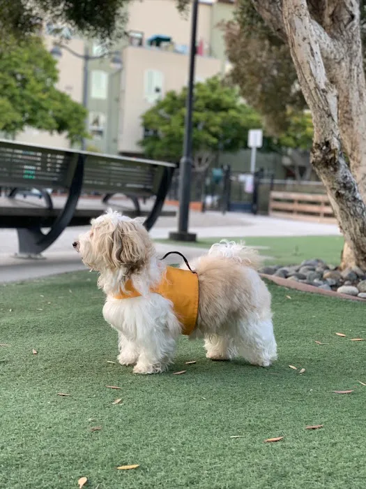 Mission Creek Dog Park 4