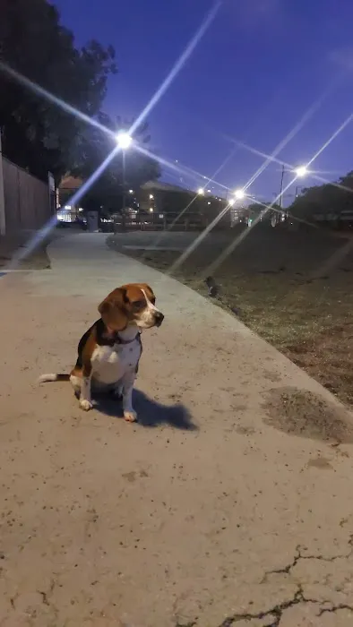 Mission Creek Dog Park 2