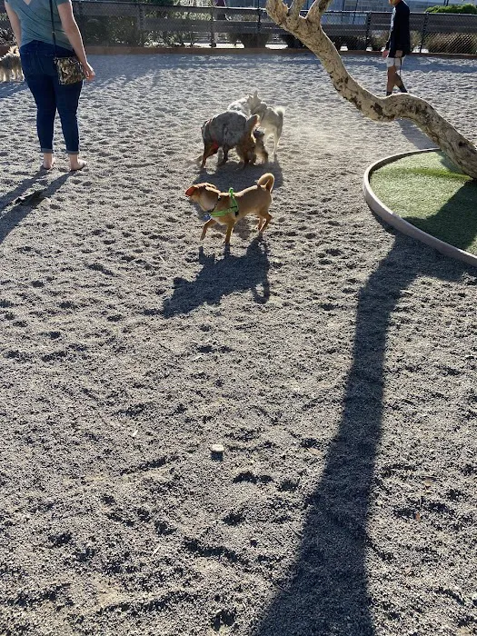 Mission Creek Dog Park 9