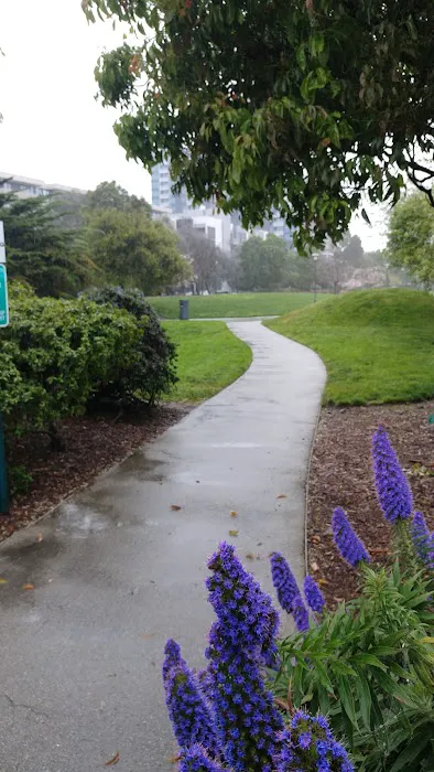 Mission Creek Dog Park 6
