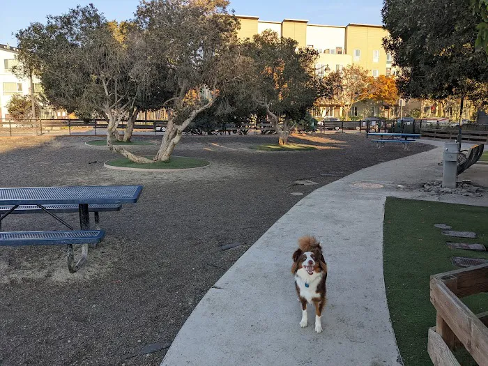 Mission Creek Dog Park 5