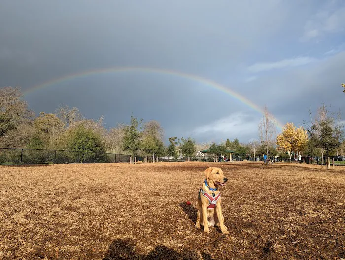 Cubby's Dog Park 4
