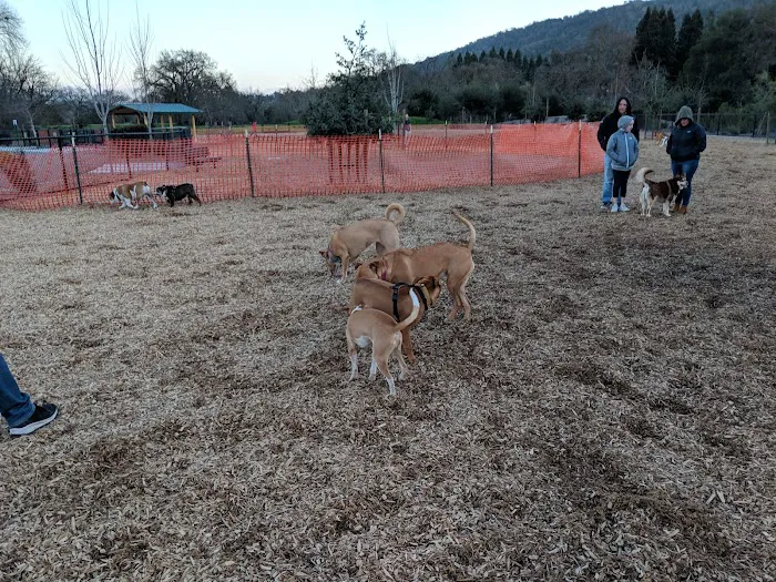 Cubby's Dog Park 10