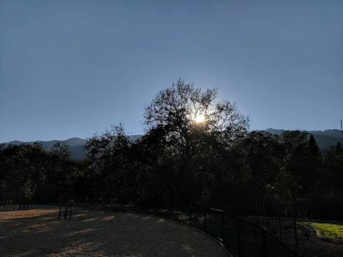 Cubby's Dog Park 3