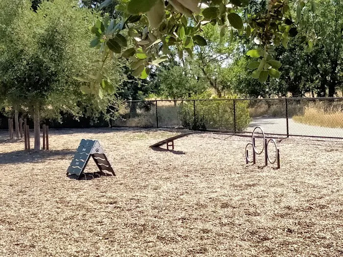 Cubby's Dog Park 9