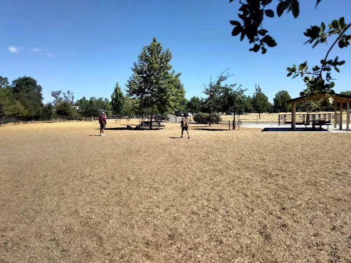 Cubby's Dog Park 6