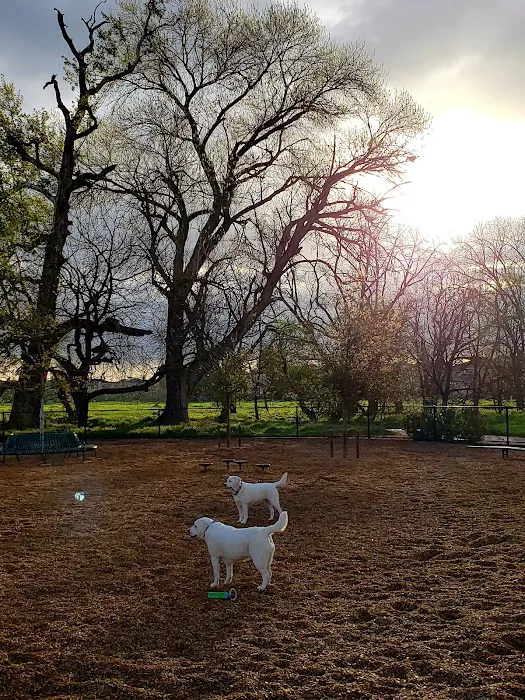 Cubby's Dog Park 8