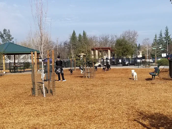 Cubby's Dog Park 1