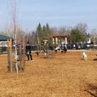 Cubby's Dog Park ico