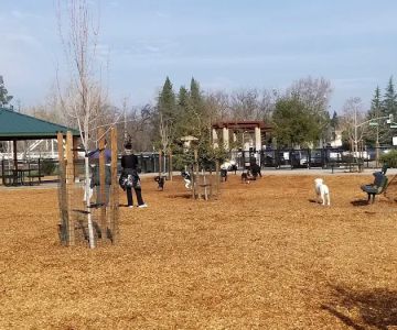 Cubby's Dog Park