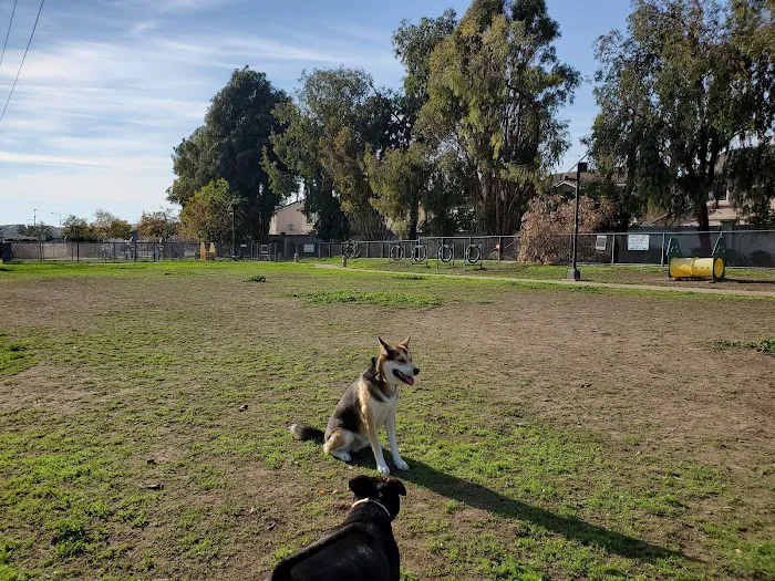 Drigon Dog Park 6