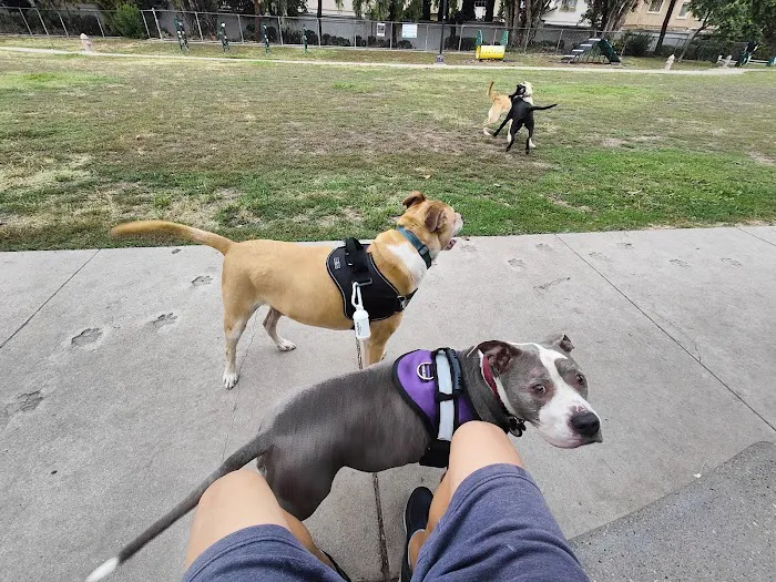 Drigon Dog Park 9