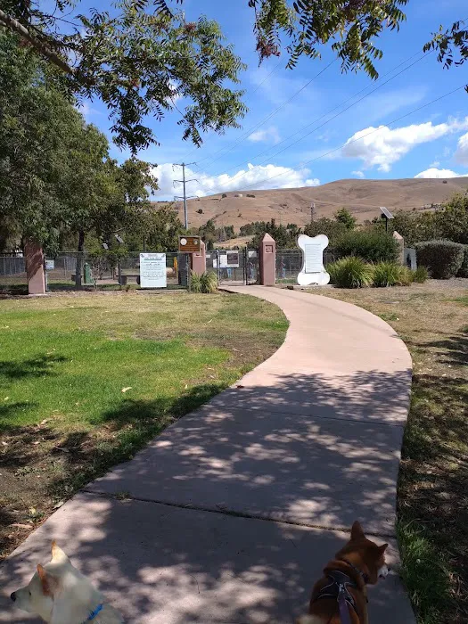 Drigon Dog Park 8
