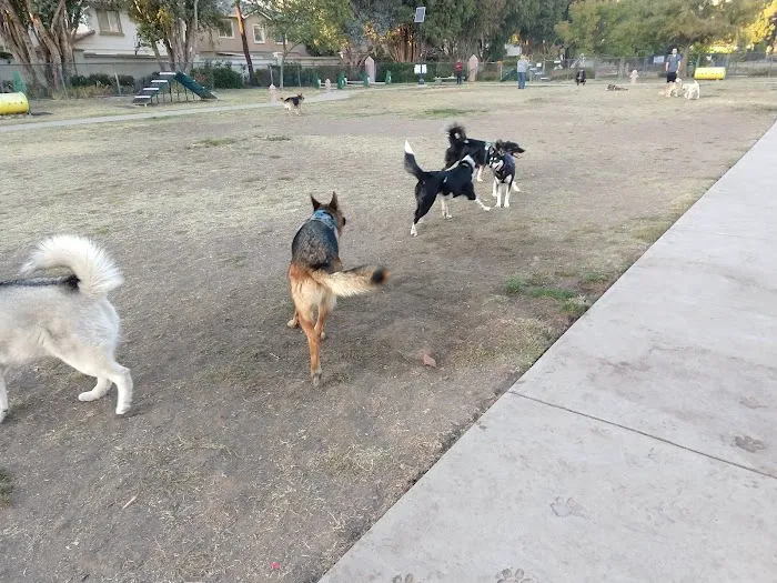 Drigon Dog Park 4