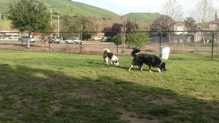 Drigon Dog Park 10