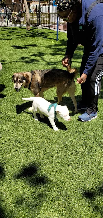 U.N. Plaza Dog Park 3