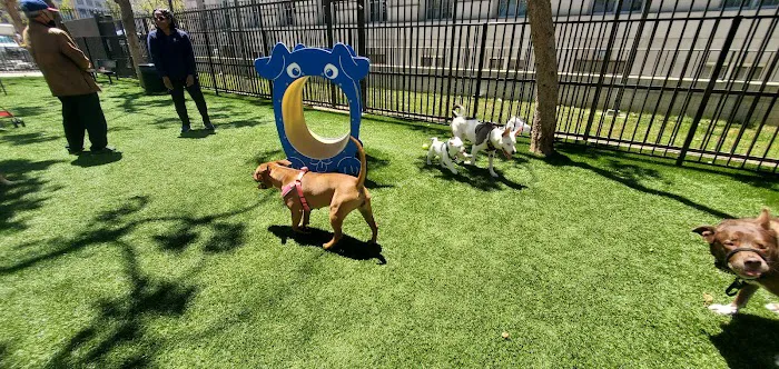 U.N. Plaza Dog Park 5