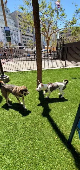U.N. Plaza Dog Park 2