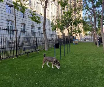 U.N. Plaza Dog Park