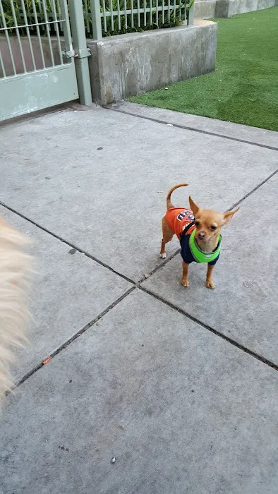 SoMa West Dog Park 9