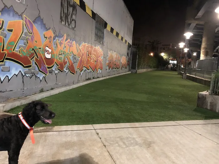 SoMa West Dog Park 5
