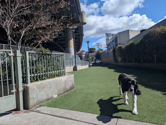 SoMa West Dog Park 1