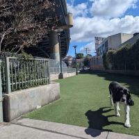 SoMa West Dog Park ico
