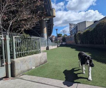 SoMa West Dog Park