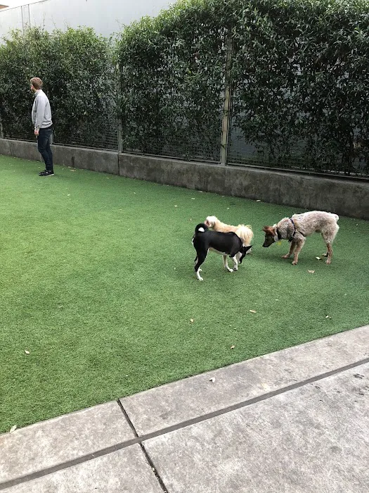 SoMa West Dog Park 4